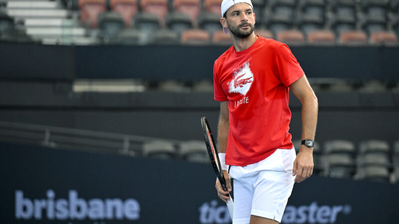 The steel beneath the silk and the gritty resurrection of Grigor Dimitrov